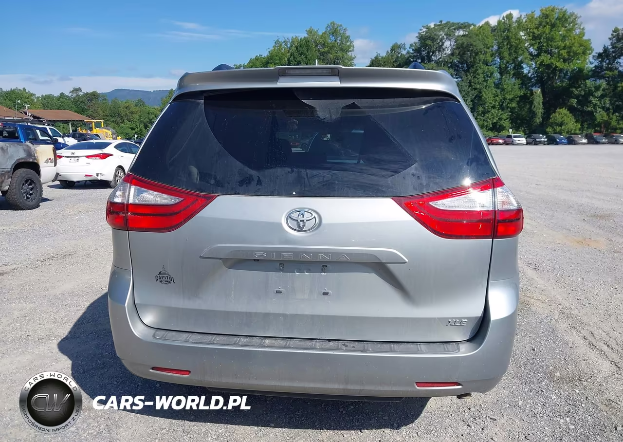 2019 Toyota Sienna Xle 8 Passenger VIN:5TDYZ3DC2KS013556 - 17