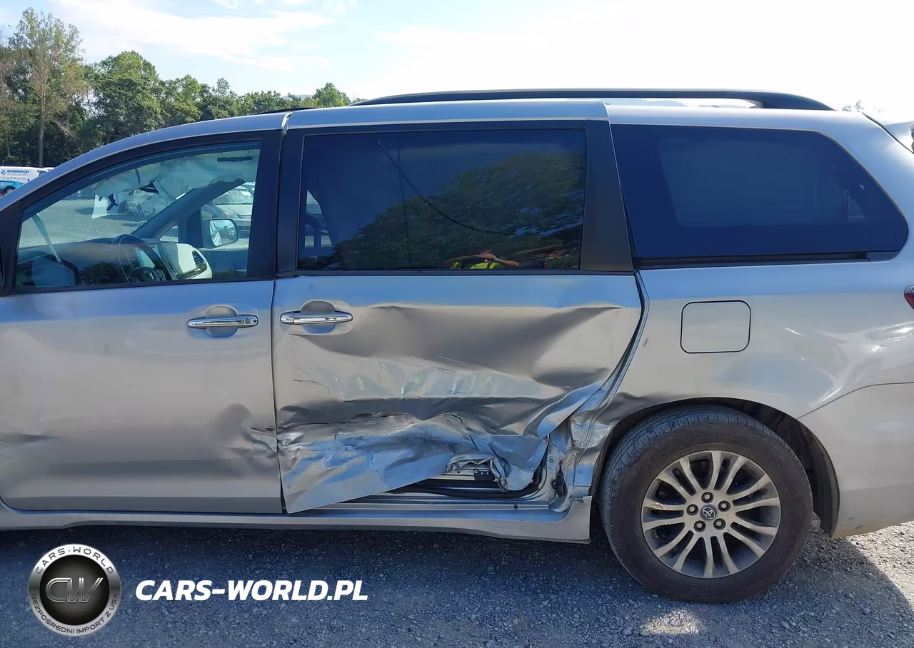 2019 Toyota Sienna Xle 8 Passenger VIN:5TDYZ3DC2KS013556 - 18