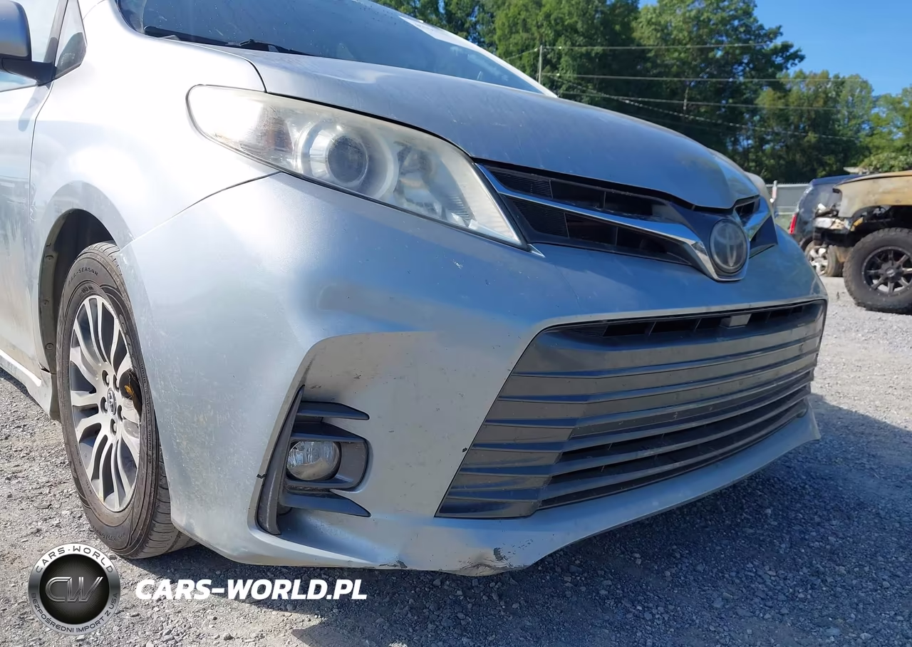 2019 Toyota Sienna Xle 8 Passenger VIN:5TDYZ3DC2KS013556 - 20