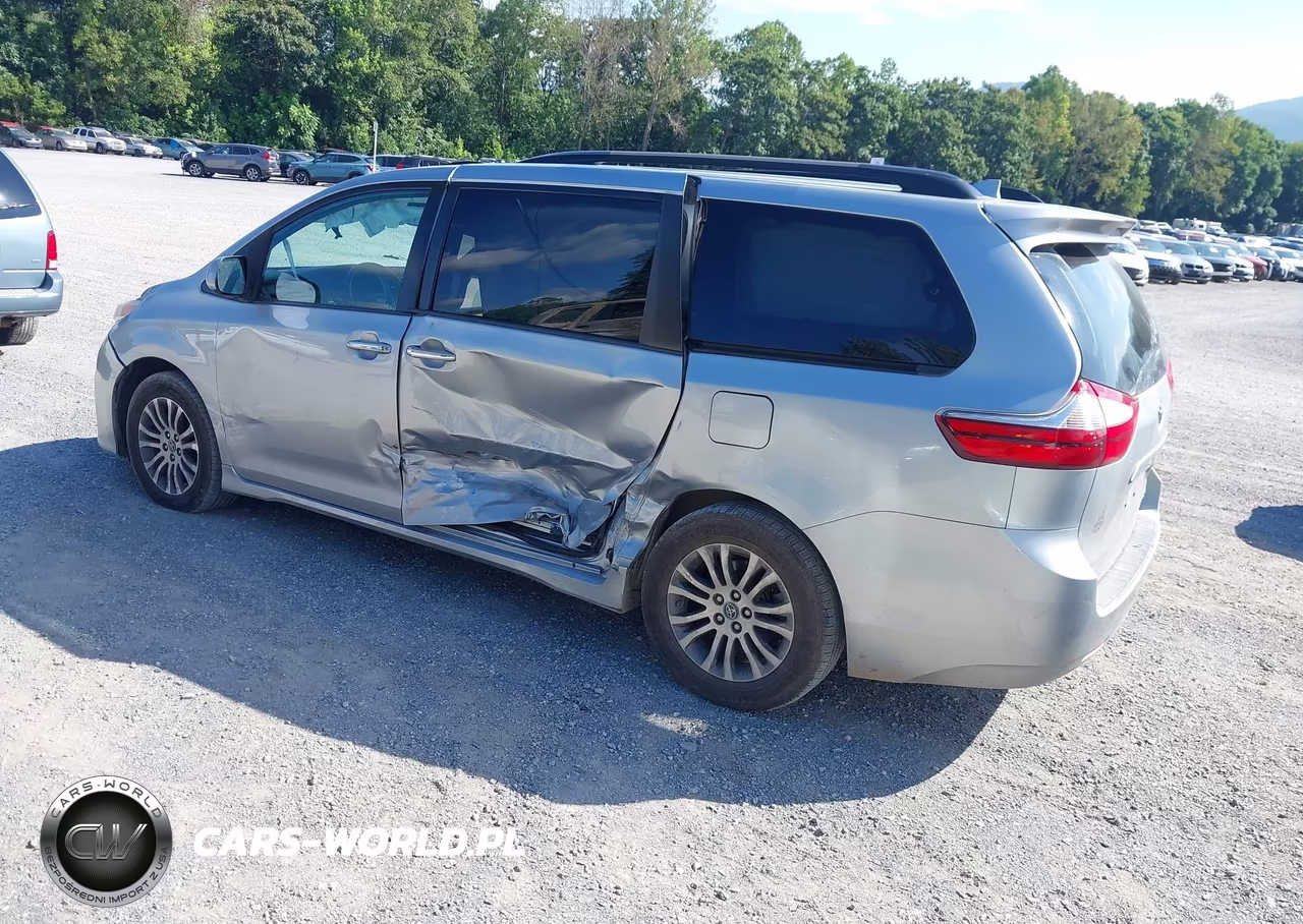 2019 Toyota Sienna Xle 8 Passenger VIN:5TDYZ3DC2KS013556 - 3