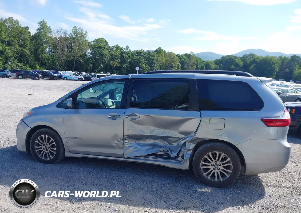 2019 Toyota Sienna Xle 8 Passenger VIN:5TDYZ3DC2KS013556 - 6