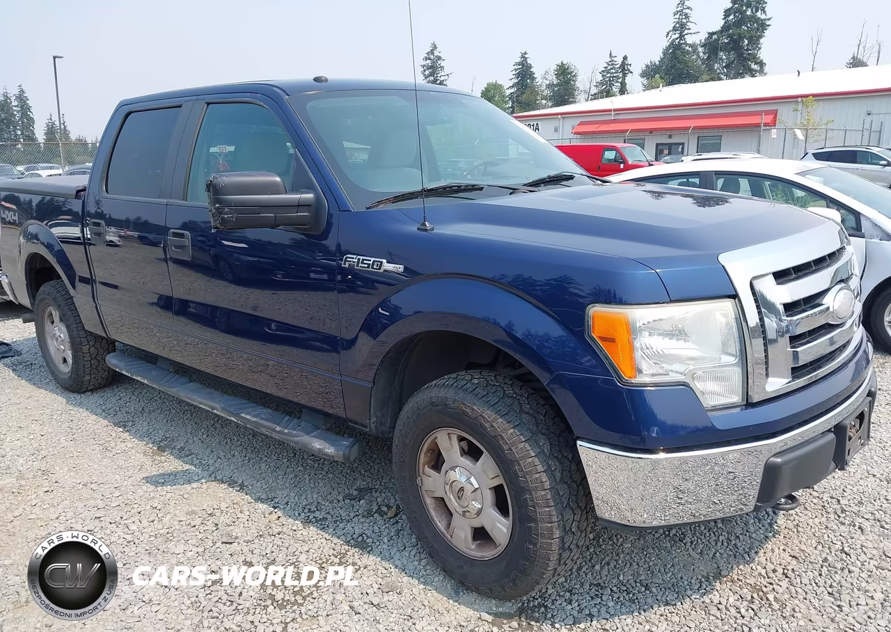 2009 Ford F-150 Xl-Xlt