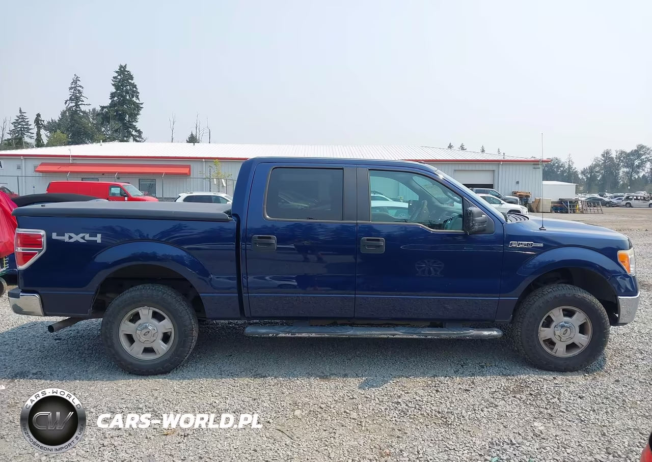 2009 Ford F-150 Xl-Xlt VIN:1FTRW14849FA48557 - 13