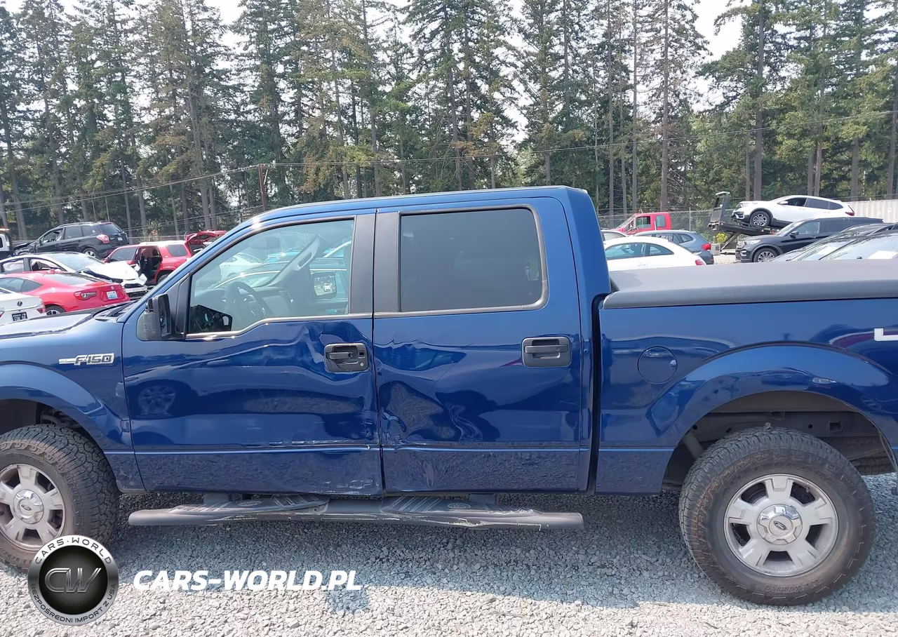 2009 Ford F-150 Xl-Xlt VIN:1FTRW14849FA48557 - 14
