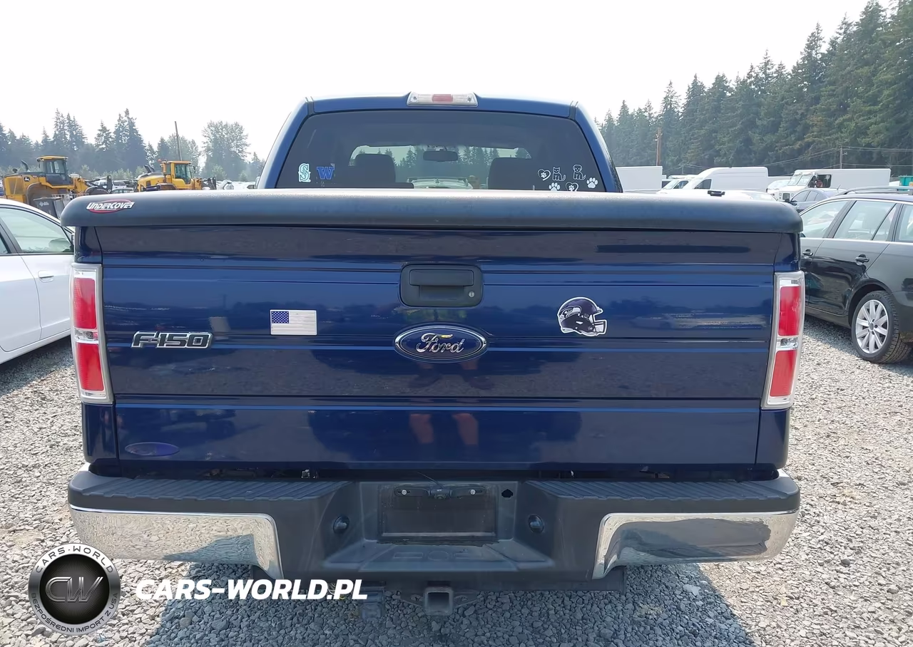 2009 Ford F-150 Xl-Xlt VIN:1FTRW14849FA48557 - 16