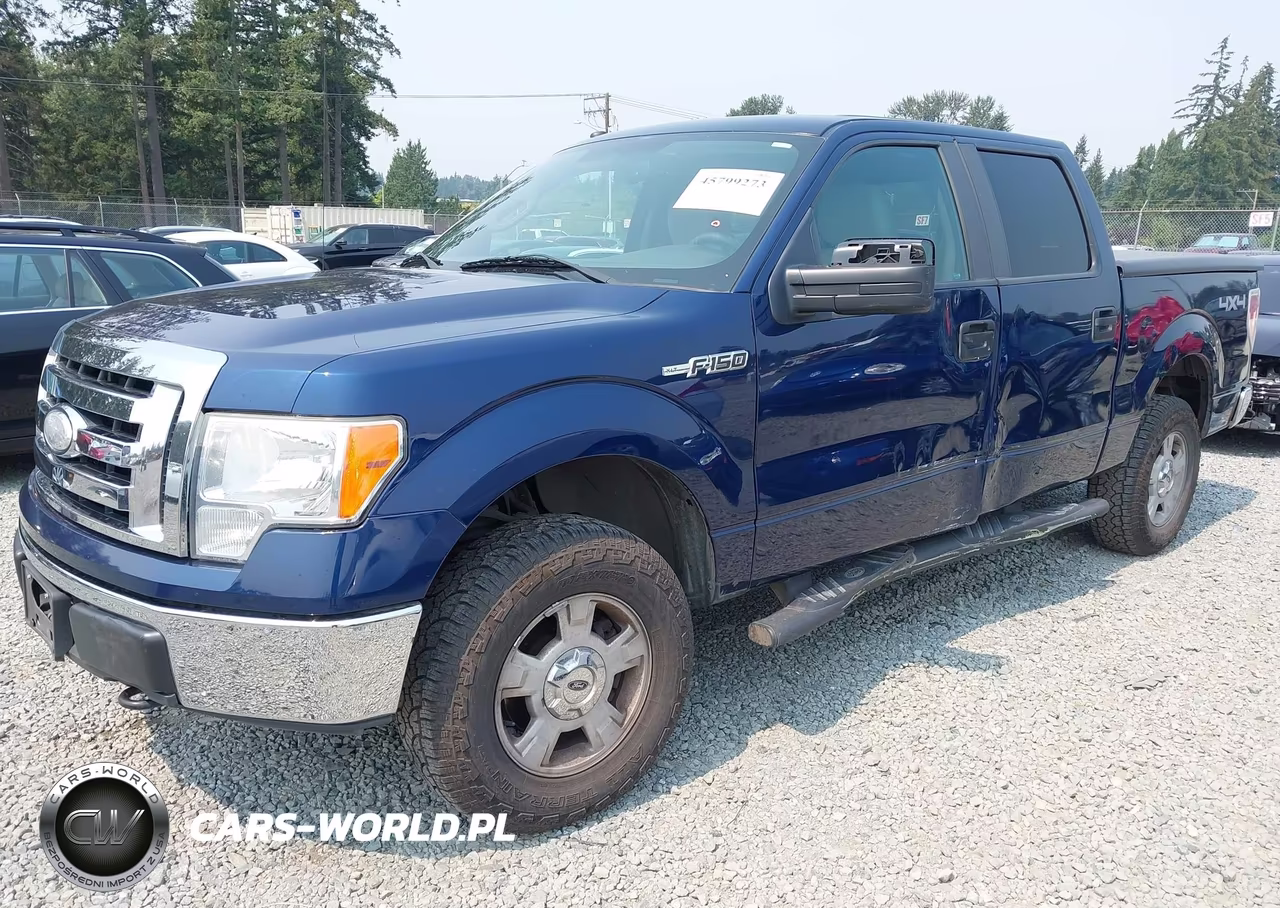 2009 Ford F-150 Xl-Xlt VIN:1FTRW14849FA48557 - 2