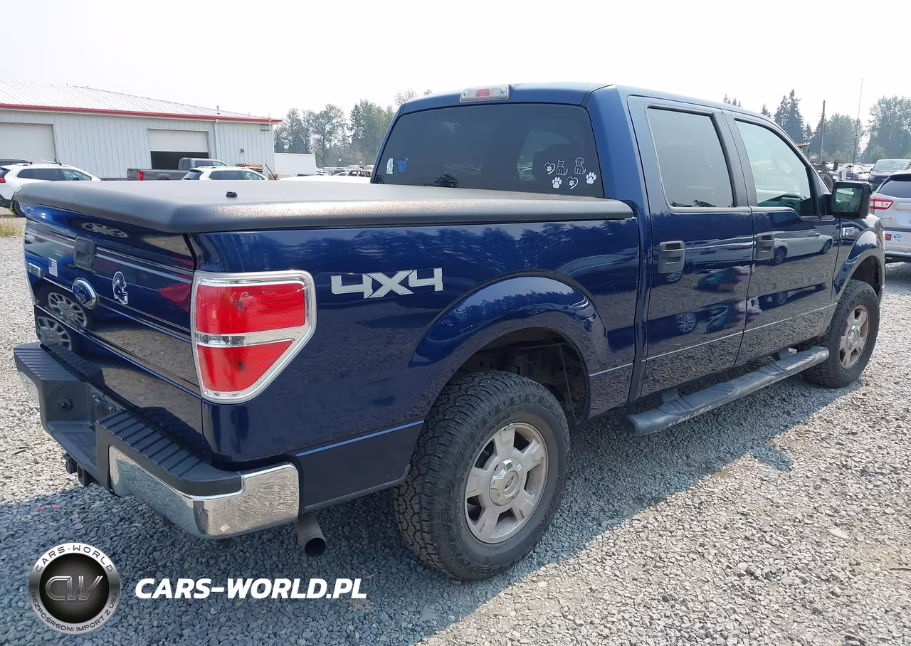 2009 Ford F-150 Xl-Xlt VIN:1FTRW14849FA48557 - 4