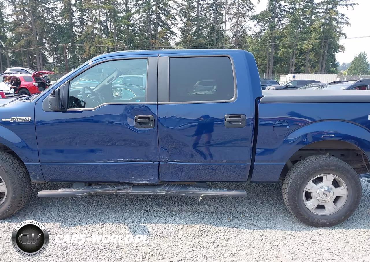 2009 Ford F-150 Xl-Xlt VIN:1FTRW14849FA48557 - 6