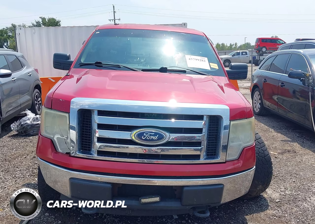 2010 Ford F-150 Xlt VIN:1FTEW1E85AKE08010 - 12