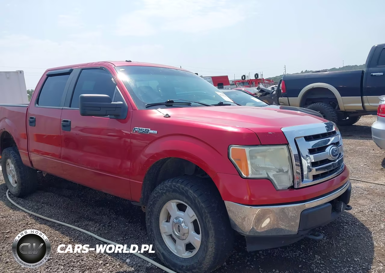 2010 Ford F-150 Xlt VIN:1FTEW1E85AKE08010 - 13