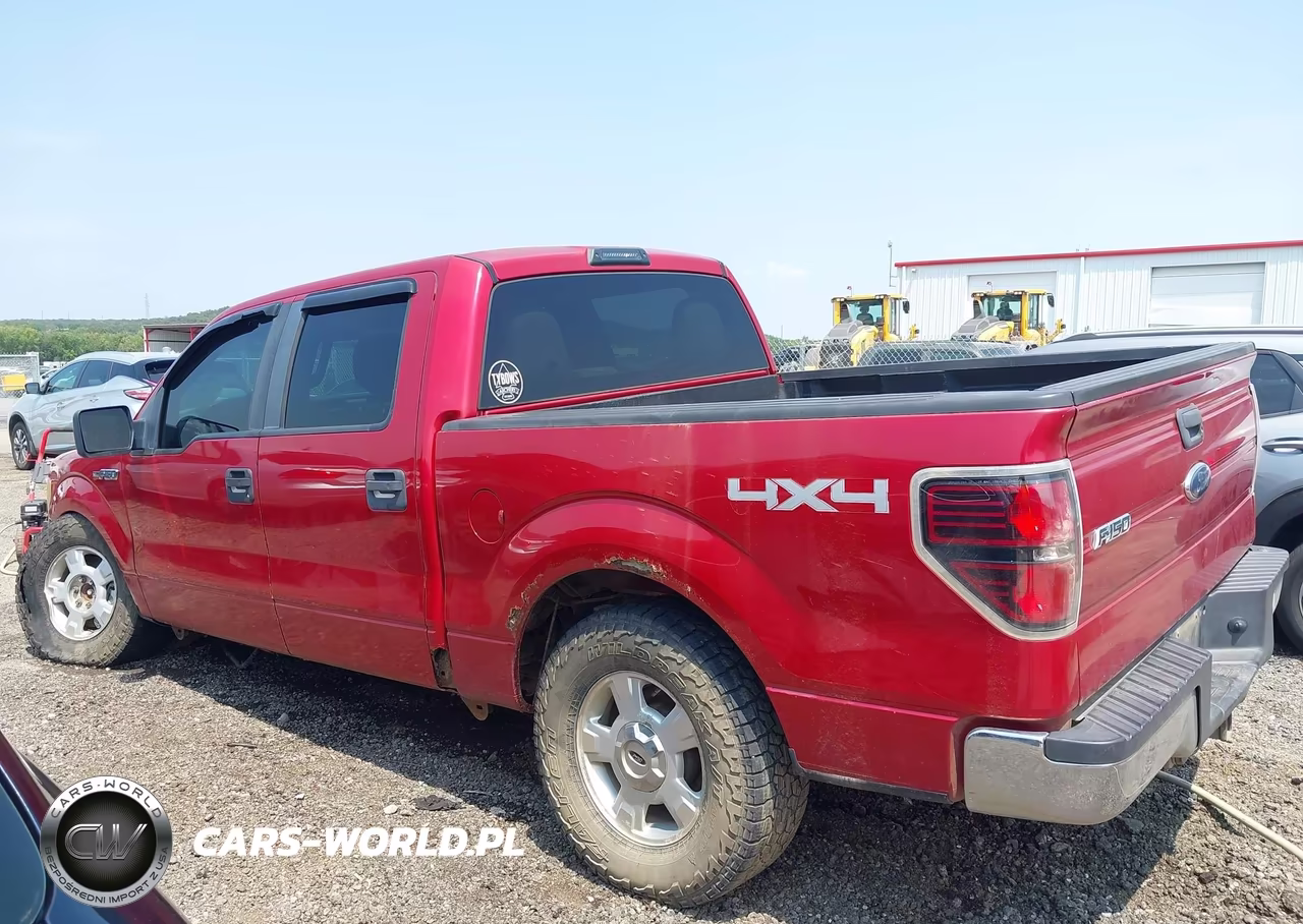 2010 Ford F-150 Xlt VIN:1FTEW1E85AKE08010 - 14