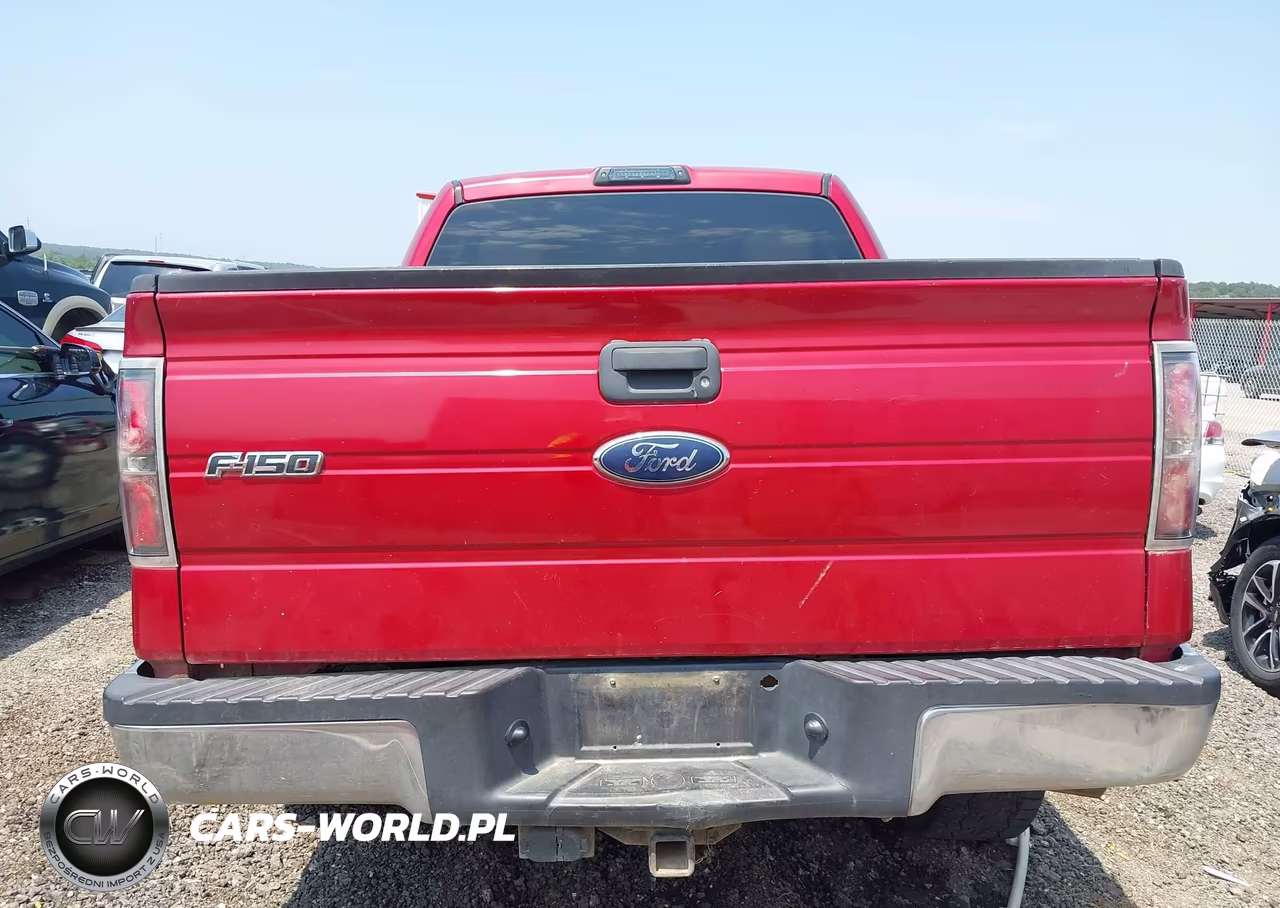 2010 Ford F-150 Xlt VIN:1FTEW1E85AKE08010 - 16