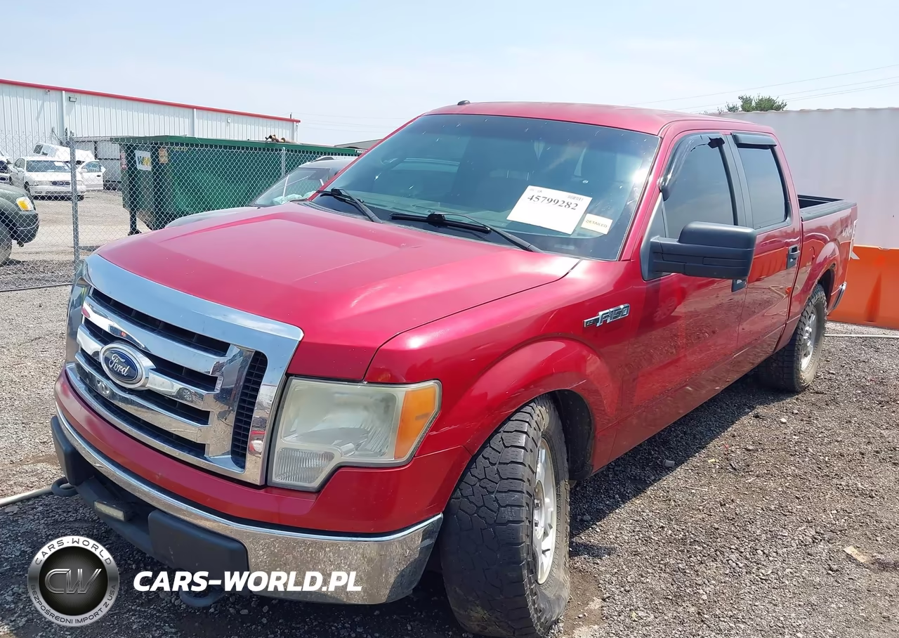 2010 Ford F-150 Xlt VIN:1FTEW1E85AKE08010 - 2