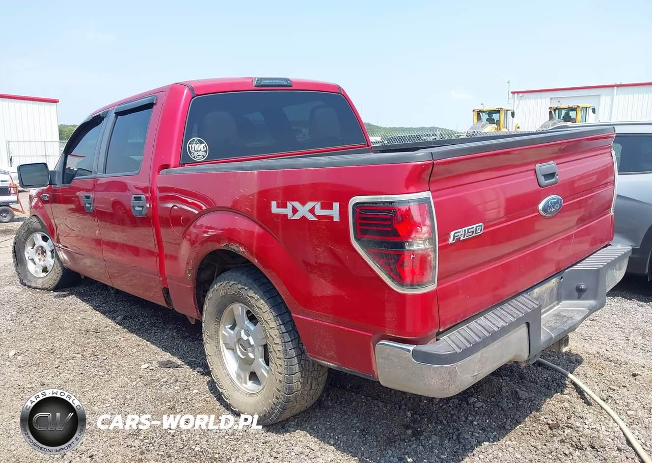 2010 Ford F-150 Xlt VIN:1FTEW1E85AKE08010 - 3