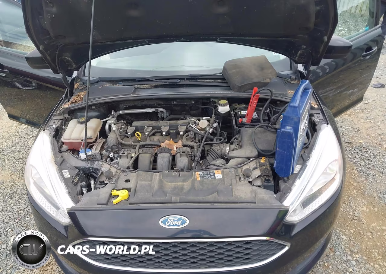 2018 Ford Focus Se VIN:1FADP3K25JL227574 - 10