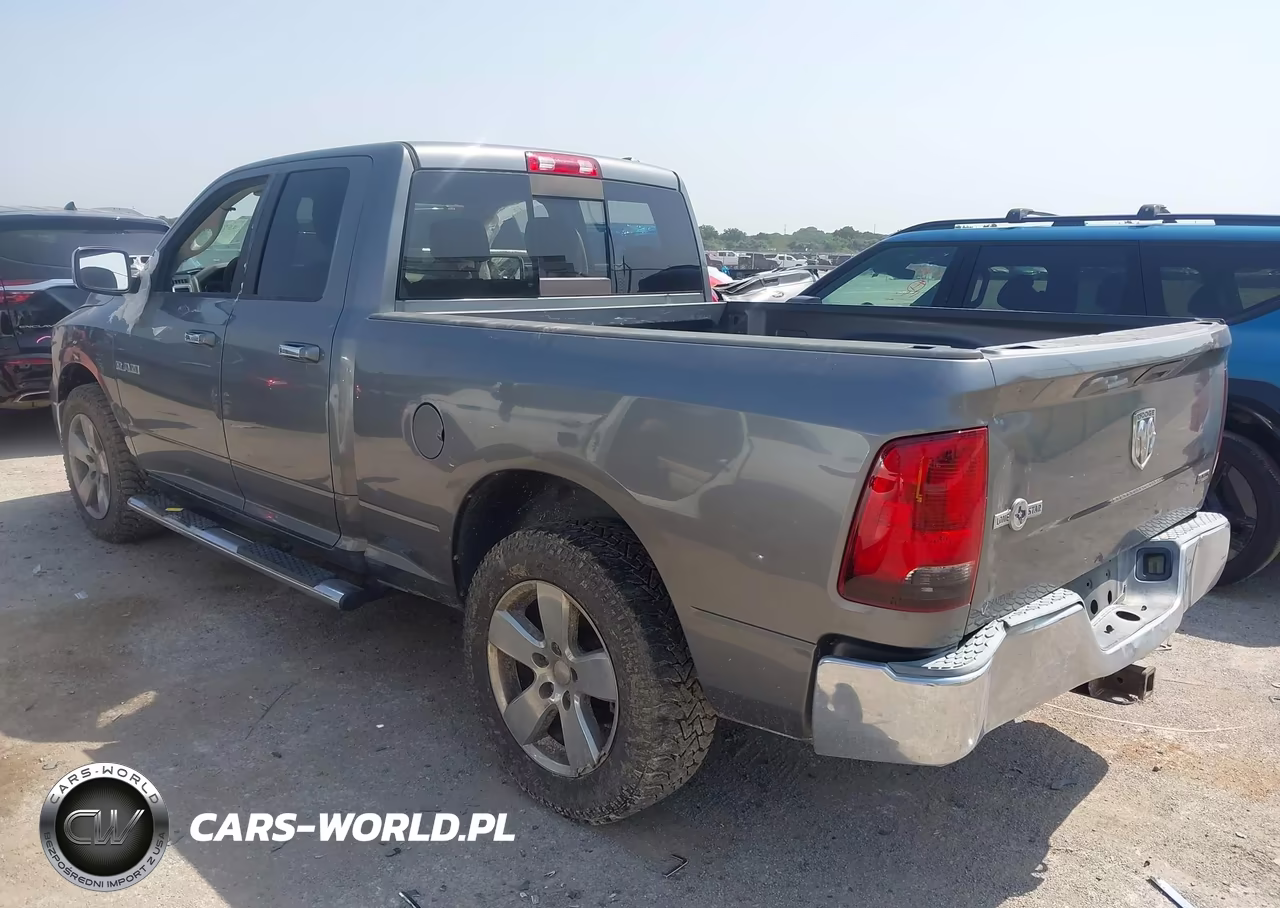 2010 Dodge Ram 1500 Slt-Sport-Trx VIN:1D7RB1GP4AS111852 - 3