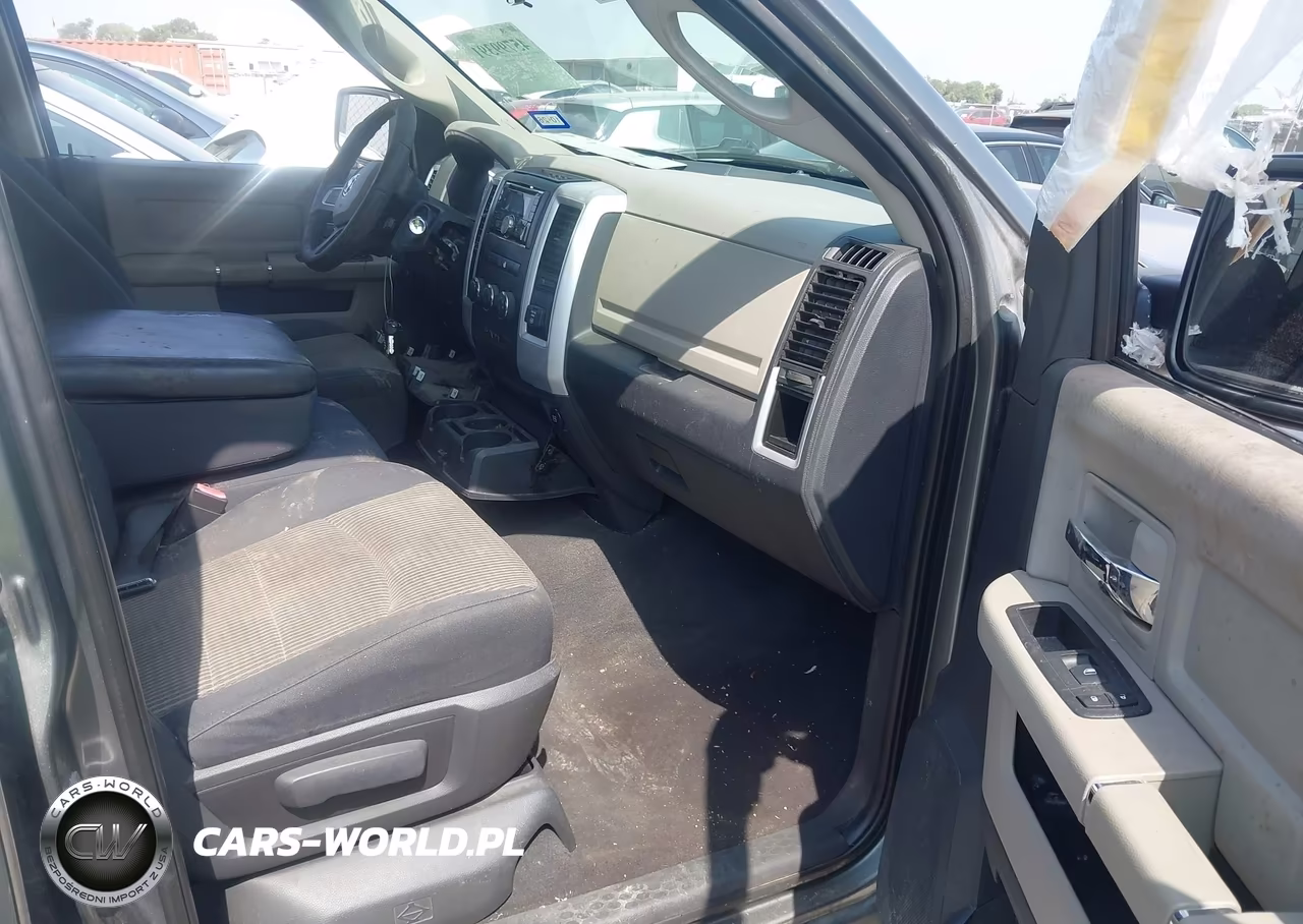 2010 Dodge Ram 1500 Slt-Sport-Trx VIN:1D7RB1GP4AS111852 - 5