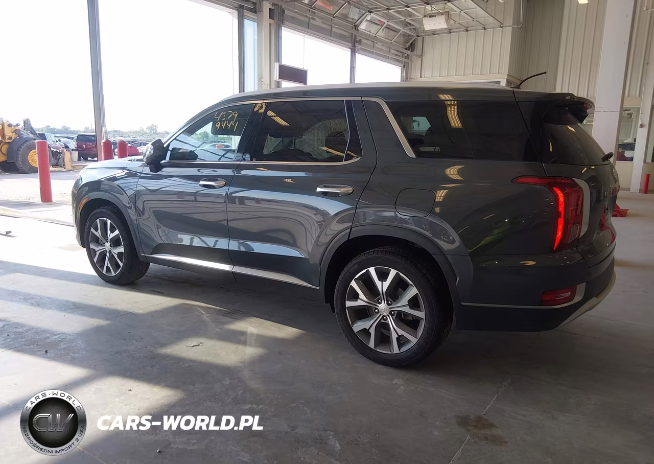 2020 Hyundai Palisade Sel VIN:KM8R44HE1LU134429 - 3