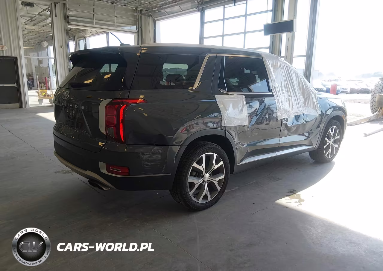 2020 Hyundai Palisade Sel VIN:KM8R44HE1LU134429 - 4
