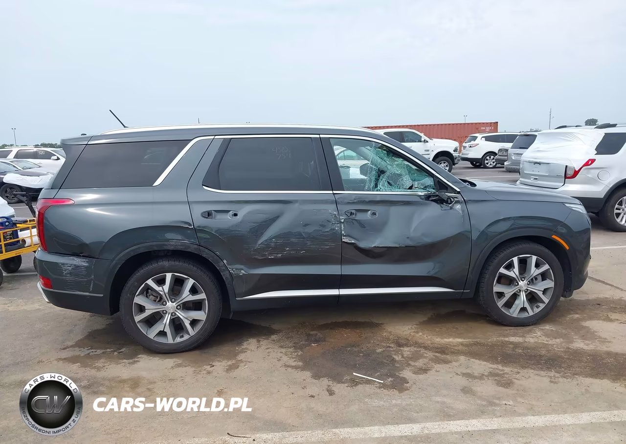 2020 Hyundai Palisade Sel VIN:KM8R44HE1LU134429 - 6