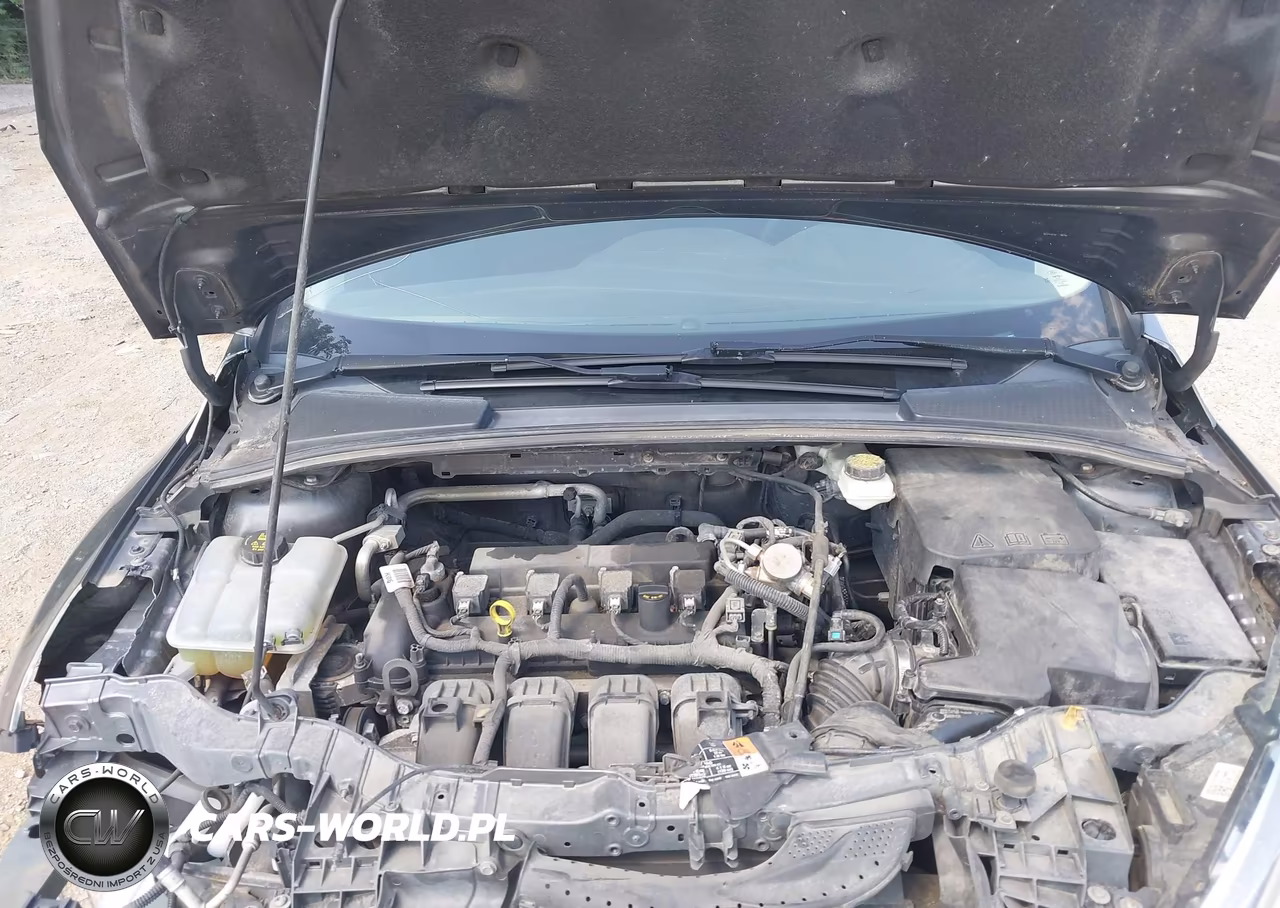 2017 Ford Focus Se VIN:1FADP3K25HL313204 - 10
