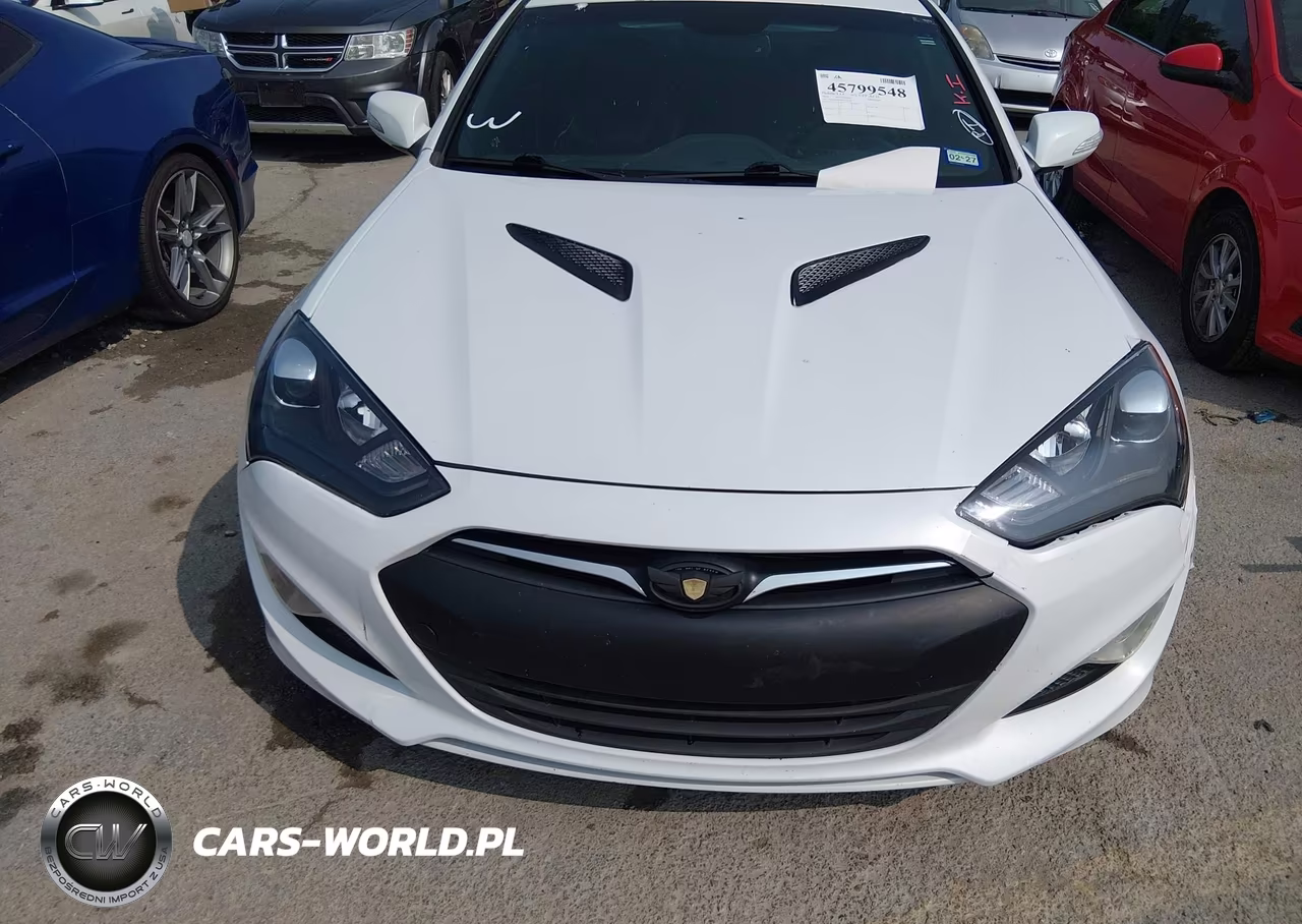 2016 Hyundai Genesis 3.8 Ultimate VIN:KMHHU6KJ9GU133791 - 12