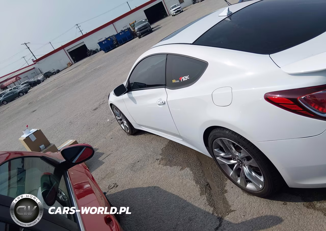 2016 Hyundai Genesis 3.8 Ultimate VIN:KMHHU6KJ9GU133791 - 14