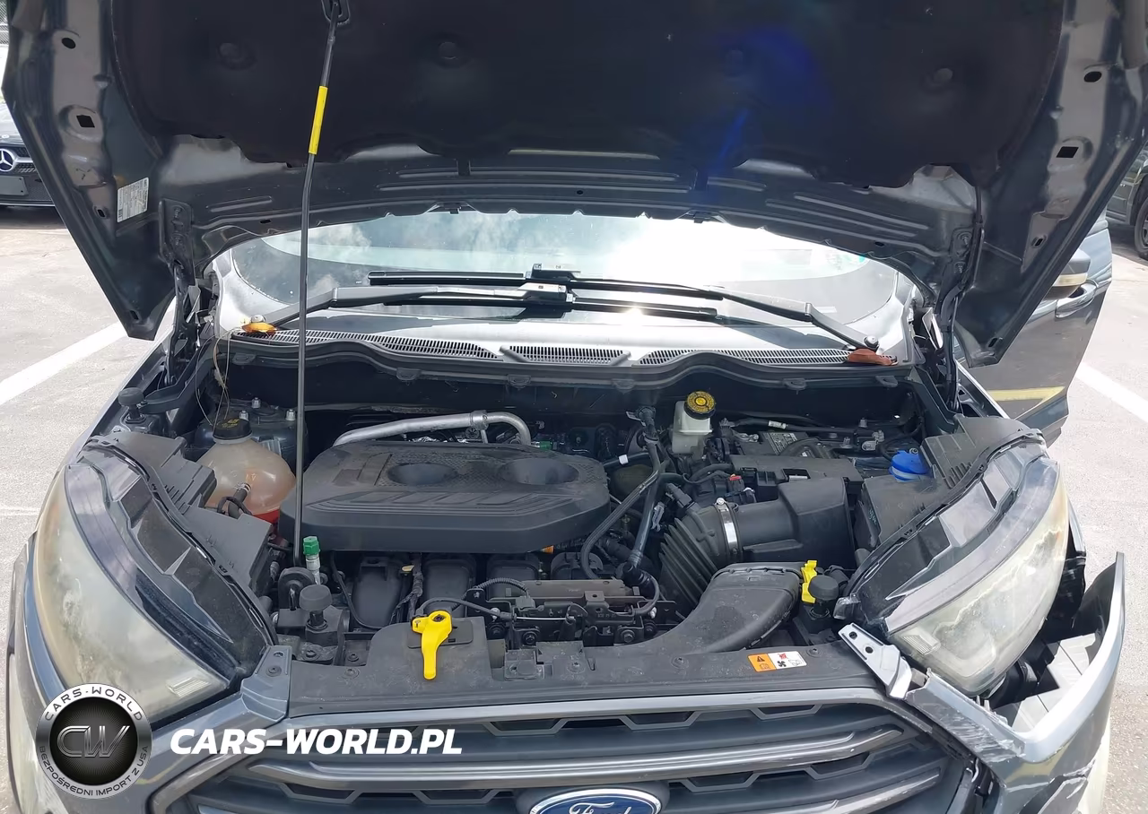 2018 Ford Ecosport Ses VIN:MAJ6P1CL9JC216890 - 10