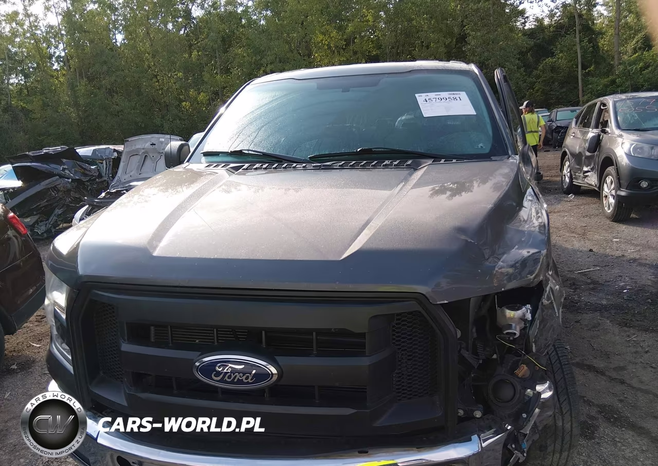 2015 Ford F-150 Xl VIN:1FTEW1EF5FKD71773 - 11