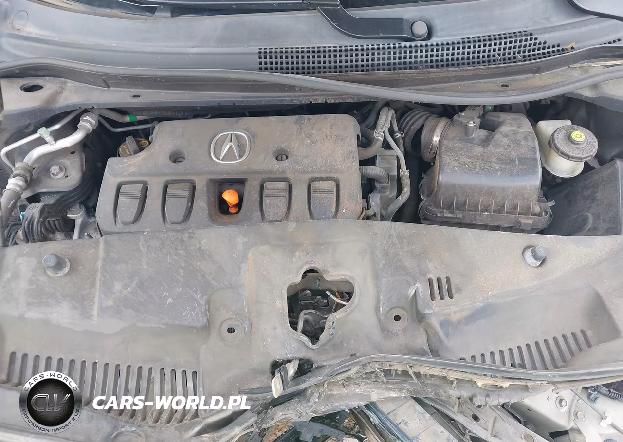 2013 Acura Ilx 2.0L VIN:19VDE1F79DE005622 - 10