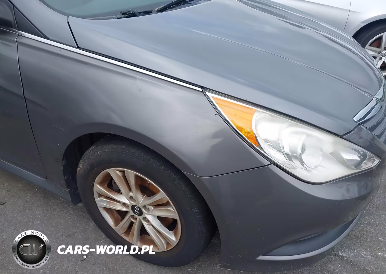 2014 Hyundai Sonata Gls VIN:5NPEB4AC8EH874770 - 12