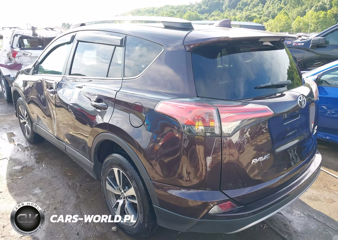 2018 Toyota Rav4 Xle VIN:2T3RFREV9JW821366 - 3
