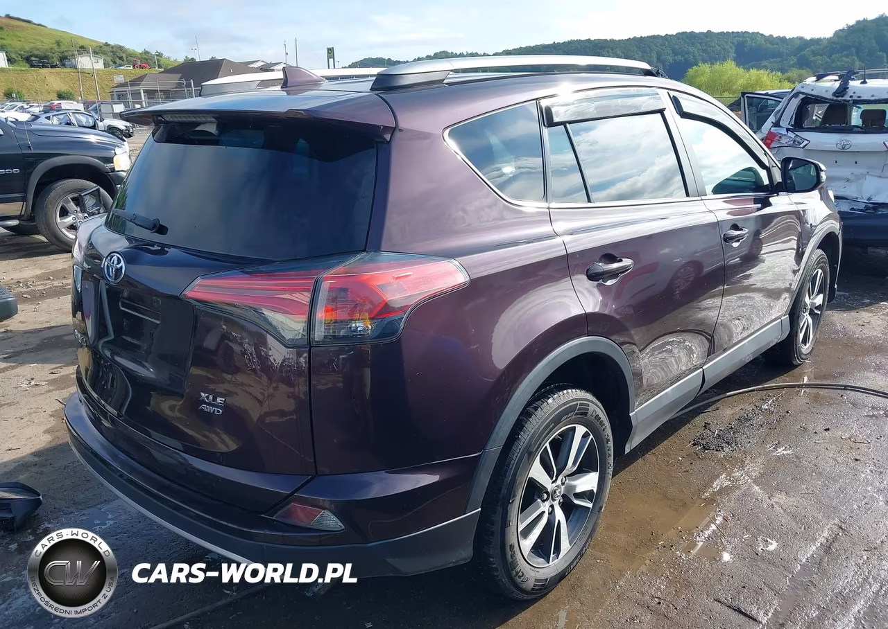 2018 Toyota Rav4 Xle VIN:2T3RFREV9JW821366 - 4