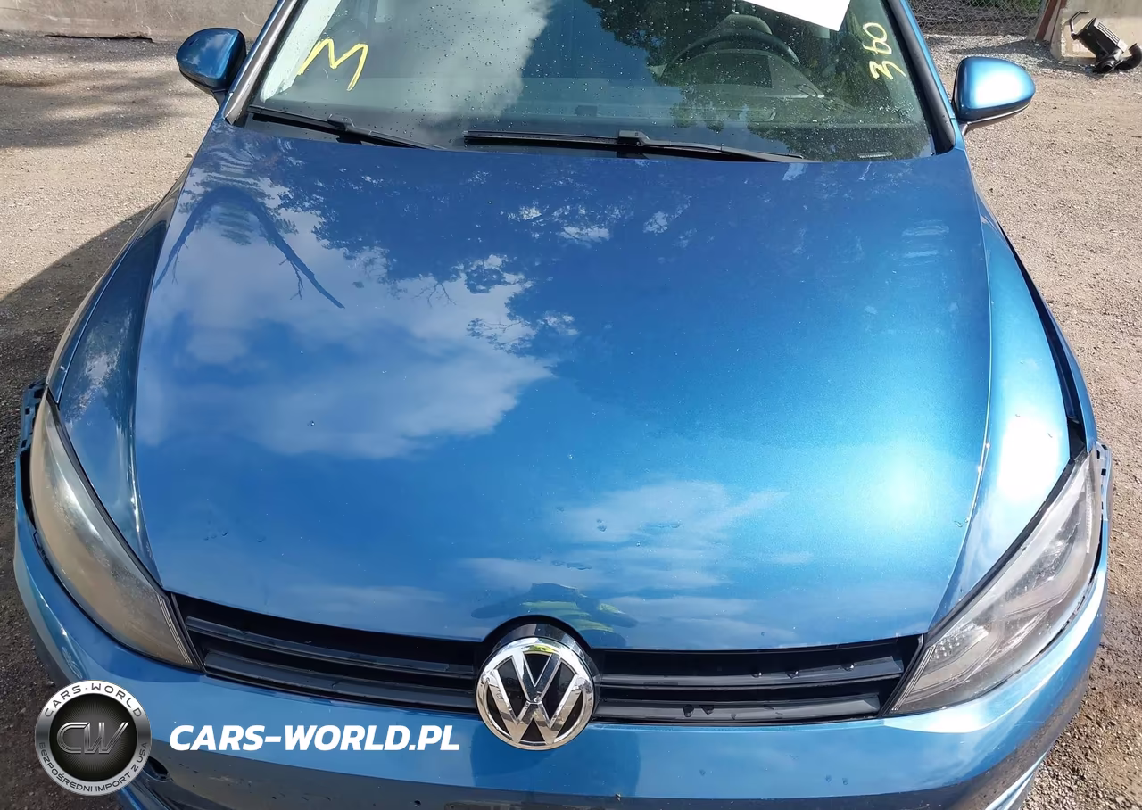 2016 Volkswagen Golf Tsi S 4-Door VIN:3VW217AUXGM000785 - 10