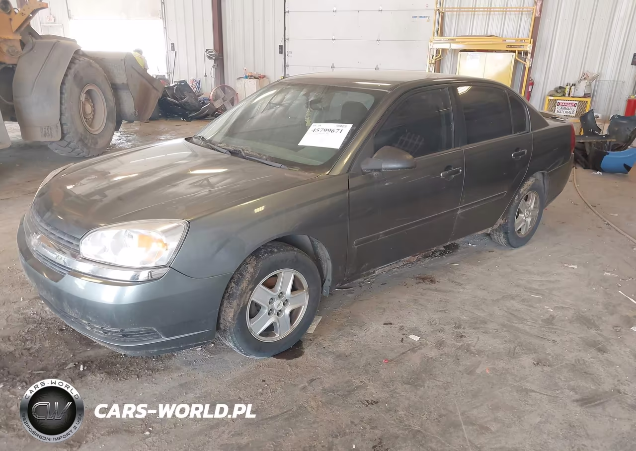 2005 Chevrolet Malibu Ls VIN:1G1ZT54895F174142 - 2