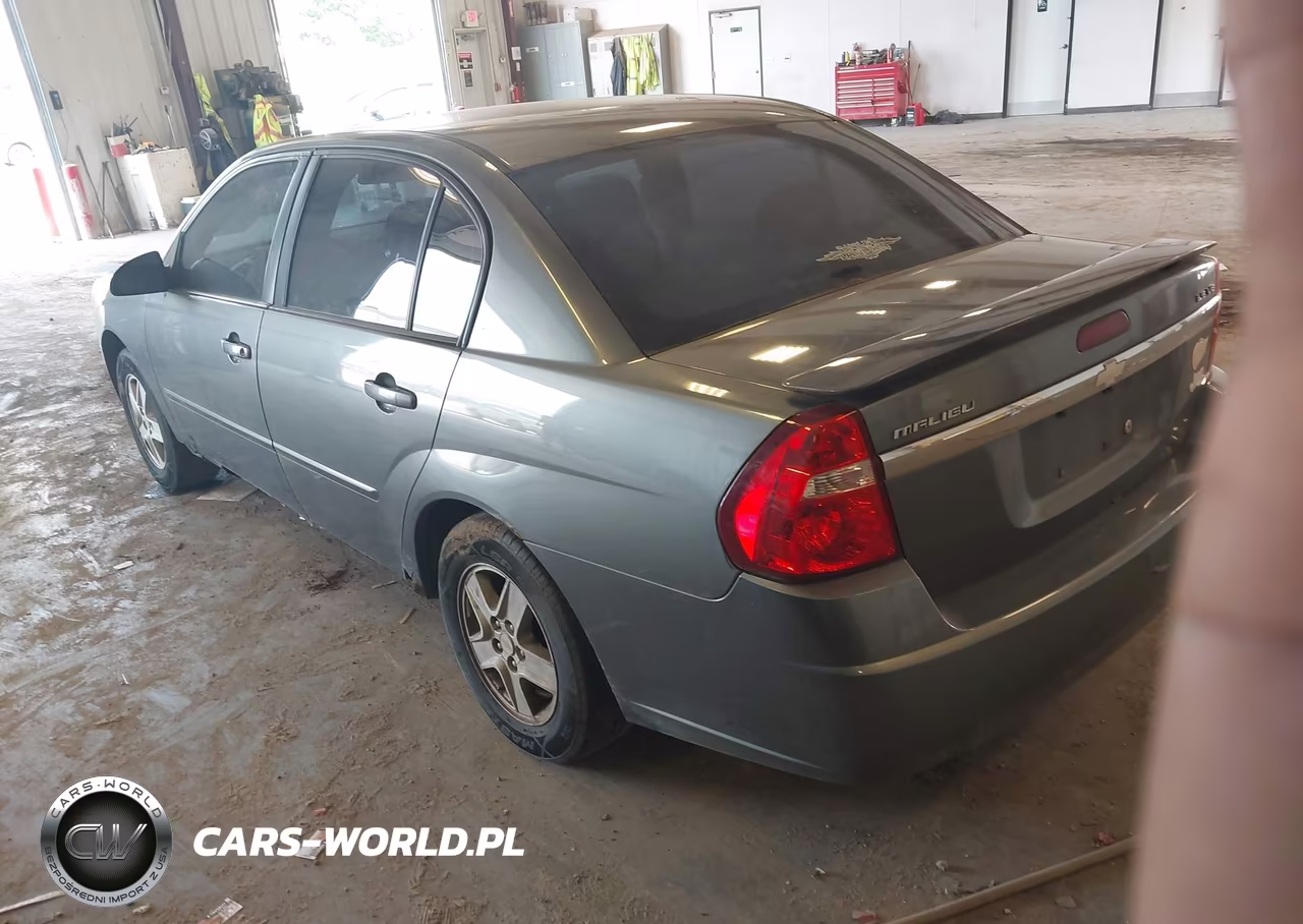 2005 Chevrolet Malibu Ls VIN:1G1ZT54895F174142 - 3