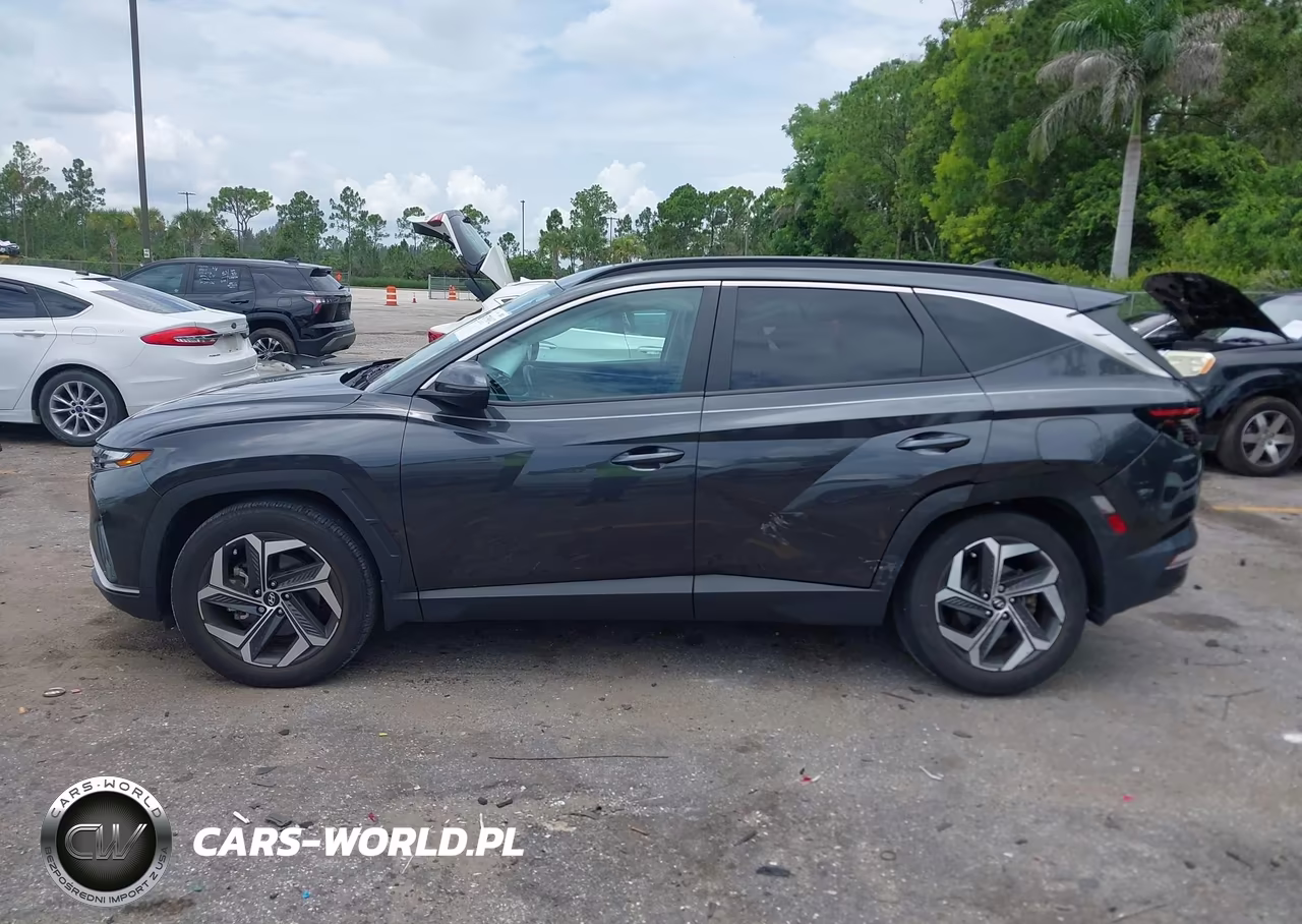 2023 Hyundai Tucson Sel VIN:5NMJF3AE6PH170078 - 14