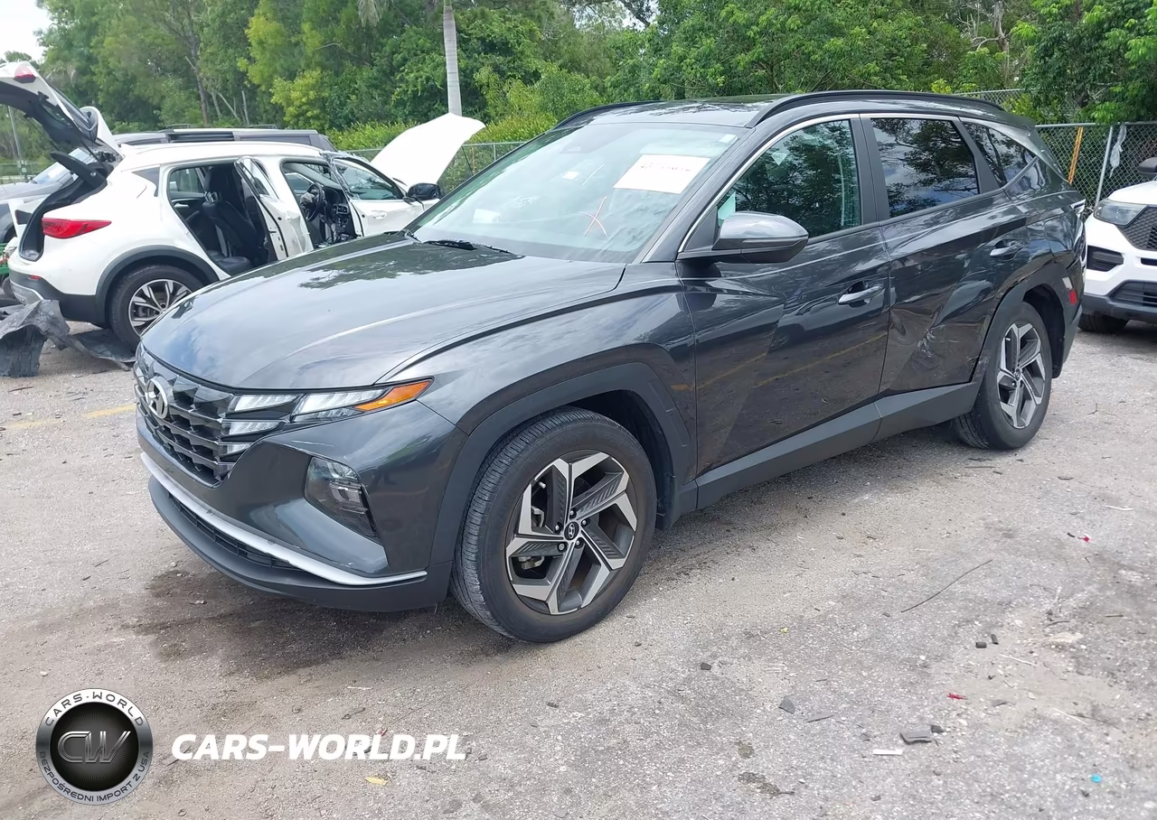 2023 Hyundai Tucson Sel VIN:5NMJF3AE6PH170078 - 2
