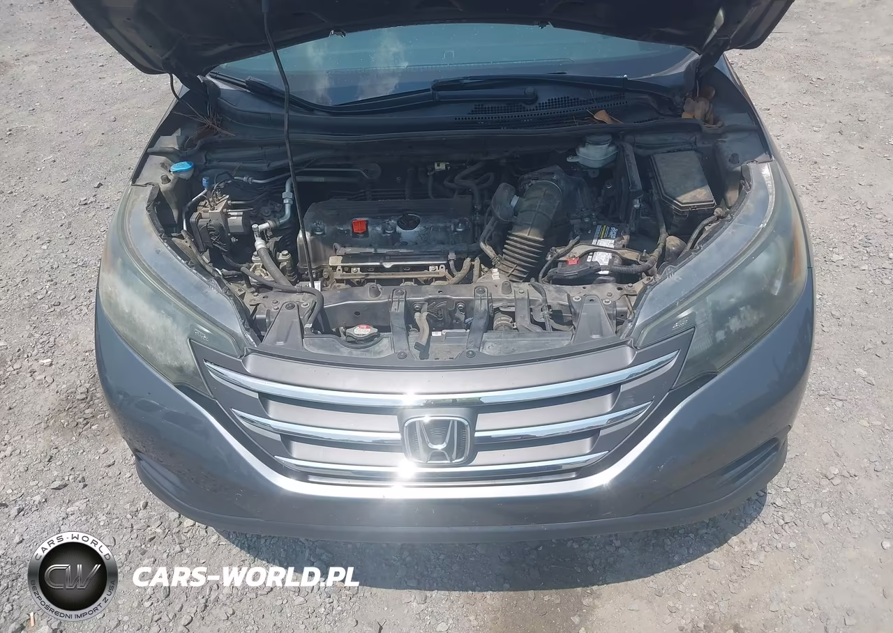 2014 Honda Cr-V Lx VIN:3CZRM3H3XEG703307 - 10