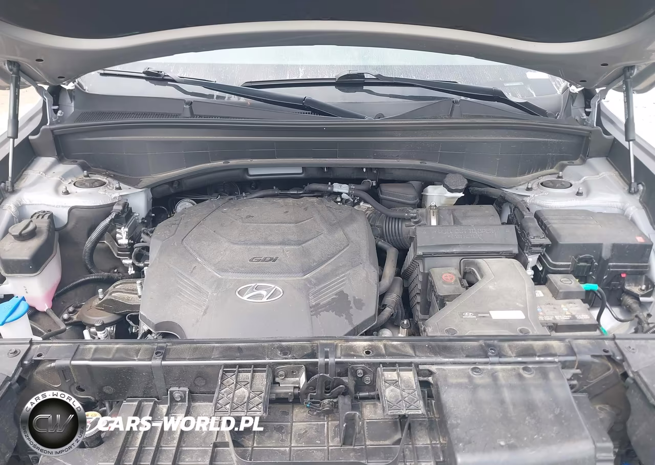 2024 Hyundai Palisade Sel VIN:KM8R2DGE4RU804636 - 10