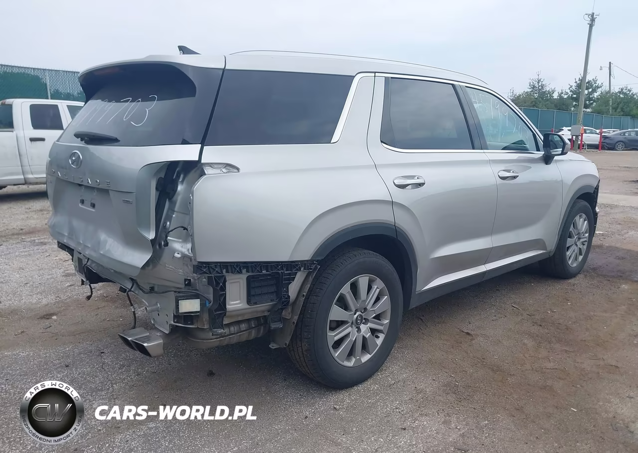 2024 Hyundai Palisade Sel VIN:KM8R2DGE4RU804636 - 4