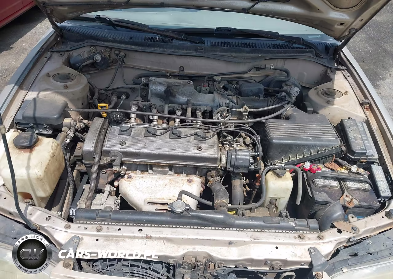 1996 Toyota Corolla Dx VIN:1NXBB02E7TZ491087 - 10
