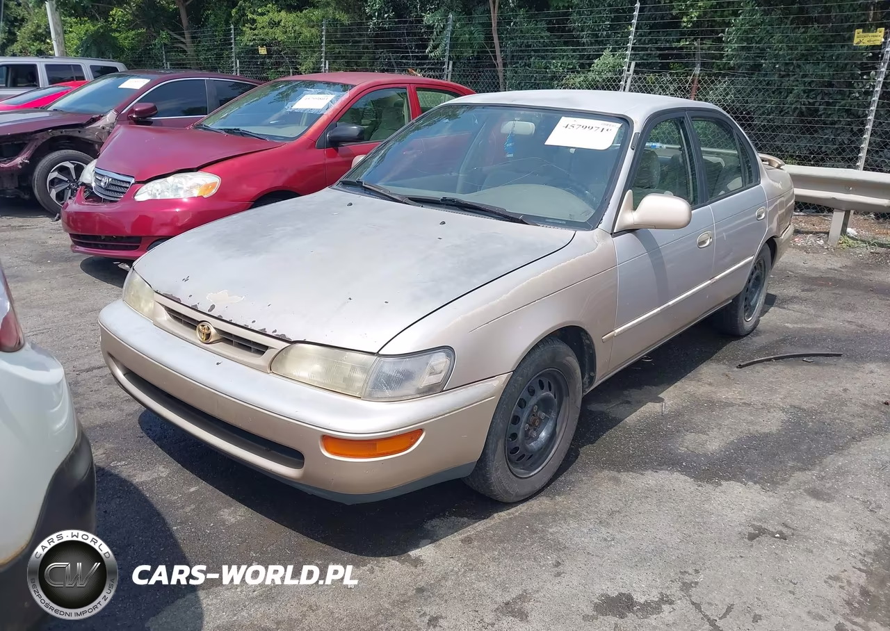 1996 Toyota Corolla Dx VIN:1NXBB02E7TZ491087 - 2