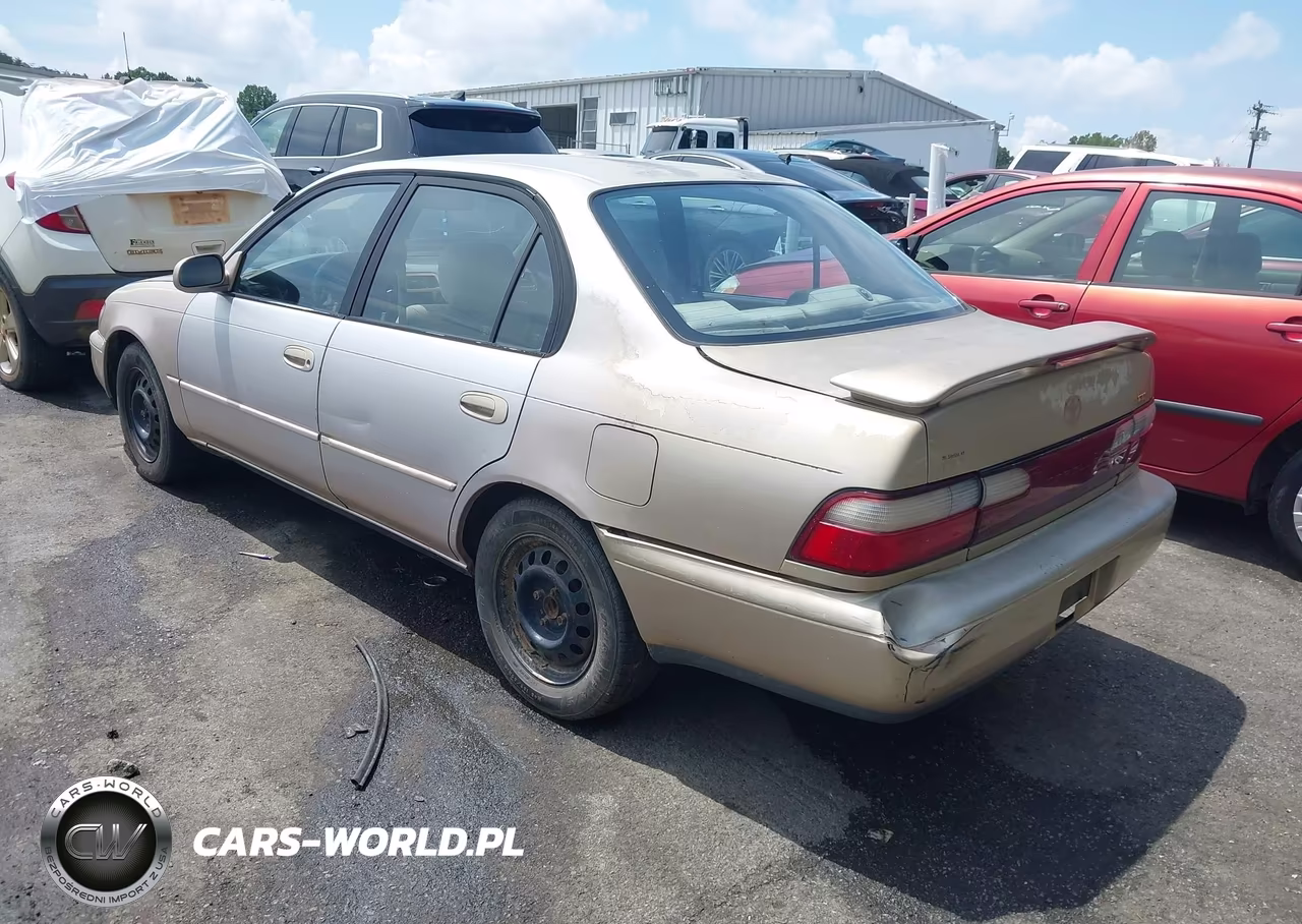 1996 Toyota Corolla Dx VIN:1NXBB02E7TZ491087 - 3