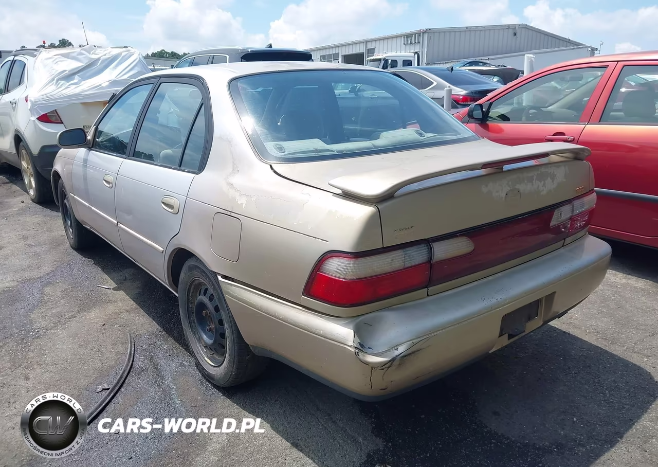 1996 Toyota Corolla Dx VIN:1NXBB02E7TZ491087 - 6