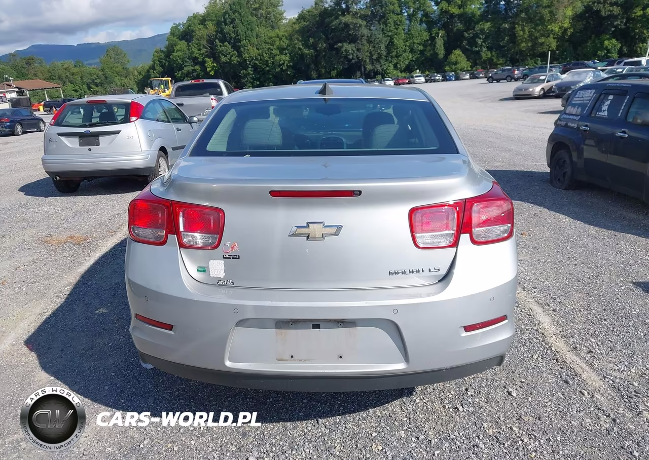 2016 Chevrolet Malibu Limited 1Fl VIN:1G11A5SA9GF115183 - 17