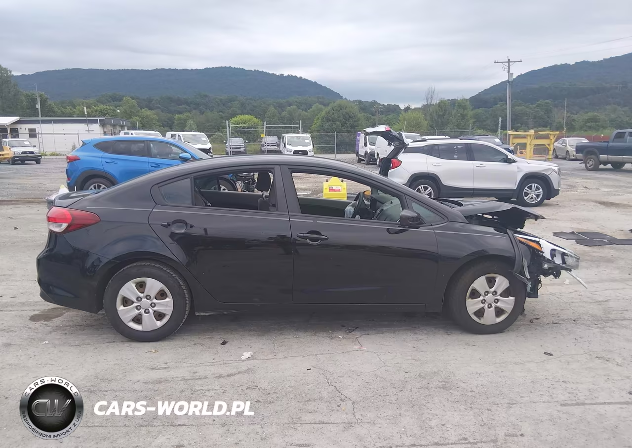 2017 Kia Forte Lx VIN:3KPFL4A74HE161202 - 13
