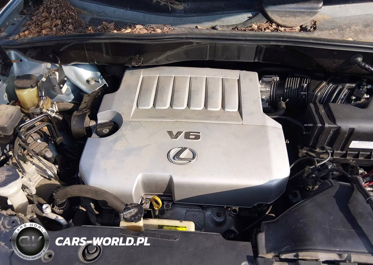 2009 Lexus Rx 350 VIN:2T2GK31U09C076683 - 10