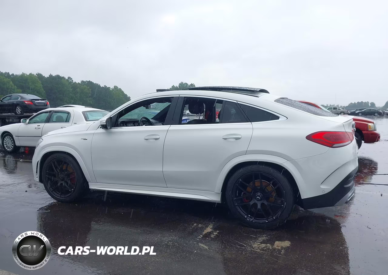 2023 Mercedes-Benz Amg Gle 53 Coupe 4Matic VIN:4JGFD6BB0PA931453 - 13