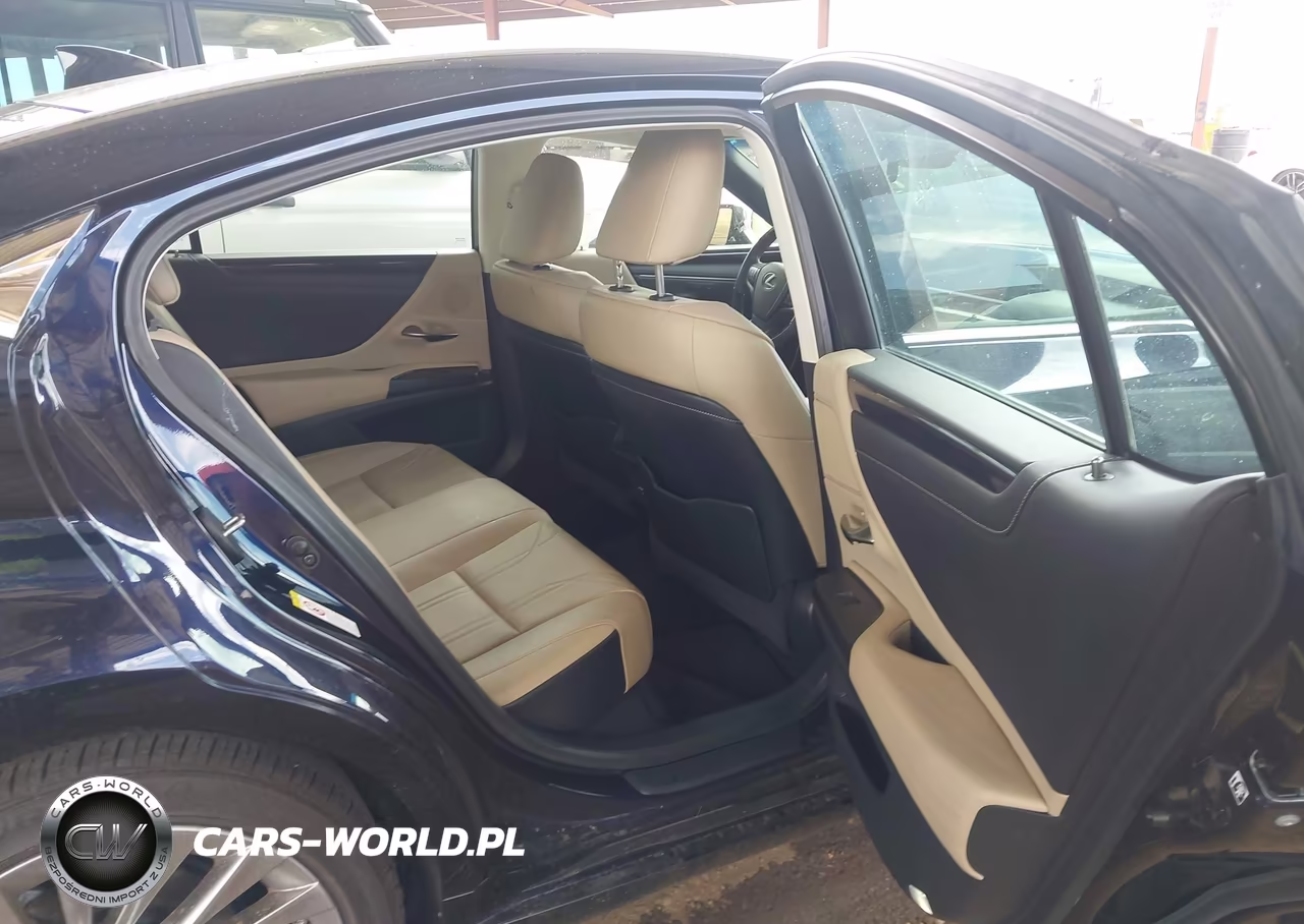 2019 Lexus Es 350 Luxury VIN:58ABZ1B13KU026294 - 8
